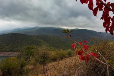 Прикрепленное изображение: IMG_3716.jpg